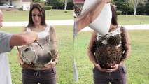 'Pregnant woman gets a colony of COUNTLESS bees placed on her belly !'