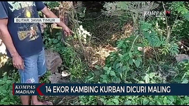 14 Ekor Kambing Kurban Dicuri Maling