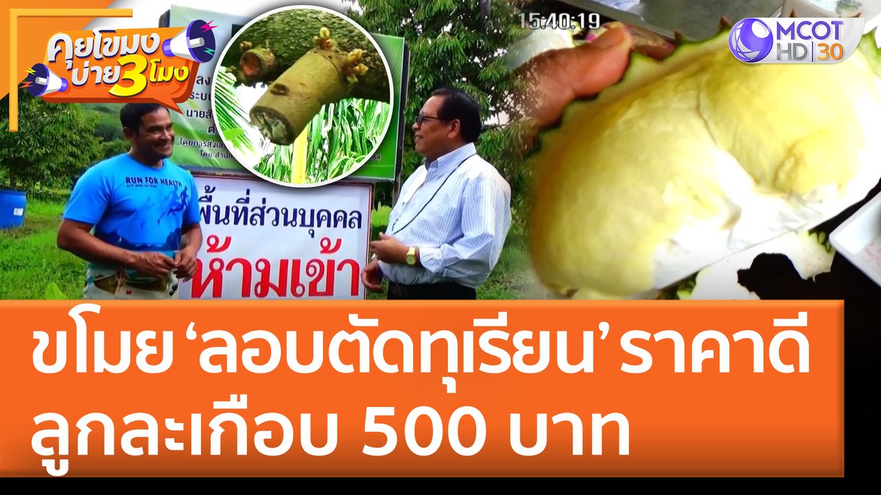 ขโมย ‘ลอบตัดทุเรียน’ ราคาดี ลูกละเกือบ 500 บาท (23 มิ.ย. 65) คุยโขมงบ่าย 3 โมง