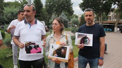 Malatya'da Evcil Hayvan Sahipleri Veterineri Şikayet Etti, Savcılık "Kasıt Yok" Diyerek Takipsizlik Verdi