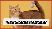 Ketar-ketir, Pria Bawa Kucing ke Toilet Malah Ada Pertarungan Tom dan Jerry