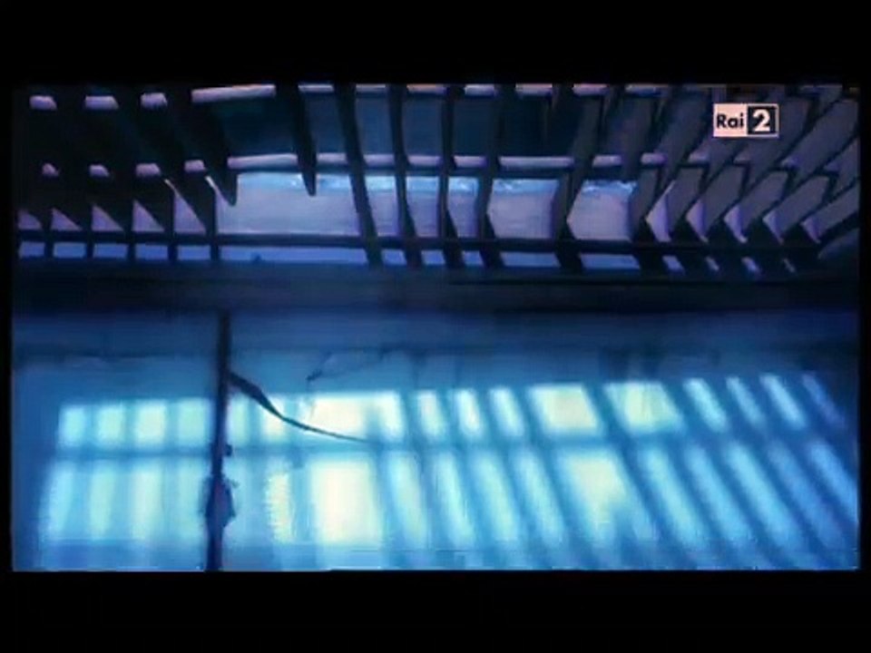 LARVA S1 - Dream