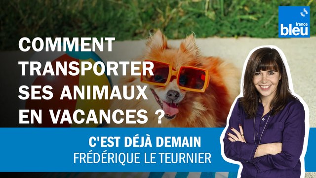 Comment transporter ses animaux en vacances ?