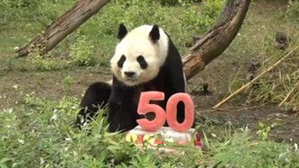 Exposición fotográfica retrata los 50 años de conservación de Zoo de Madrid