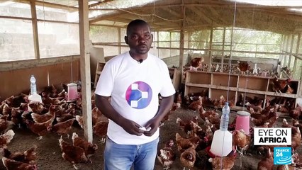 Gabon hit by bird flu outbreak for over two months