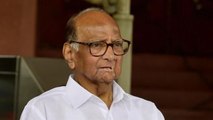 Maharashtra crisis: Maha Vikas Aghadi has decided to back Uddhav Thackeray, says Sharad Pawar