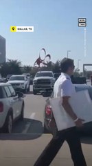 1,300+ Southwest Airlines Pilots Protest at Dallas Airport