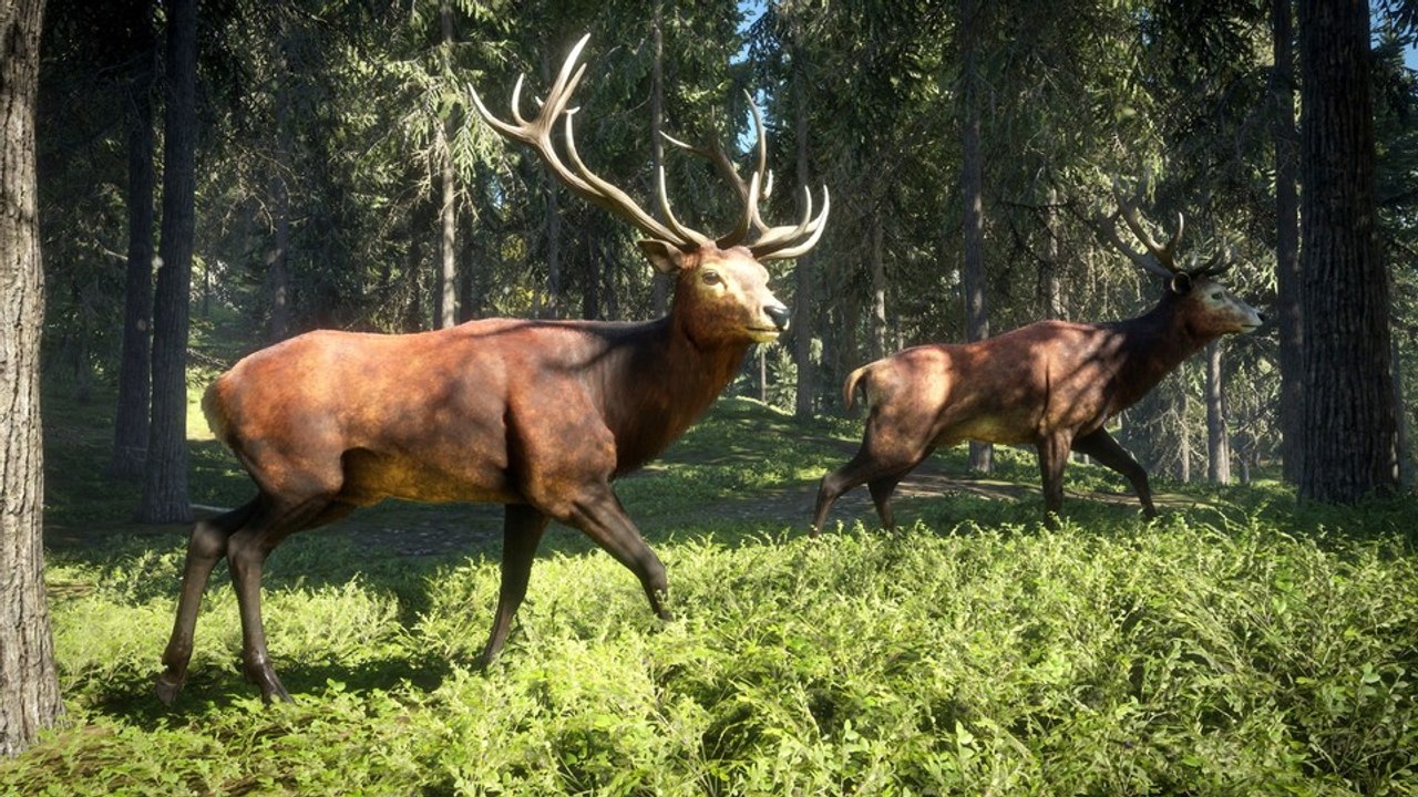 theHunter: Call of the Wild - Gameplay-Trailer zeigt Spielszenen aus dem Open World-Jagdspiel