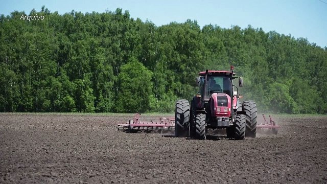 Fome provocada por conflito na Ucrânia vai expor populações a doenças infecciosas