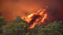 Son Dakika: Marmaris'teki orman yangınıyla ilgili gözaltına alınan şüpheli suçunu itiraf etti