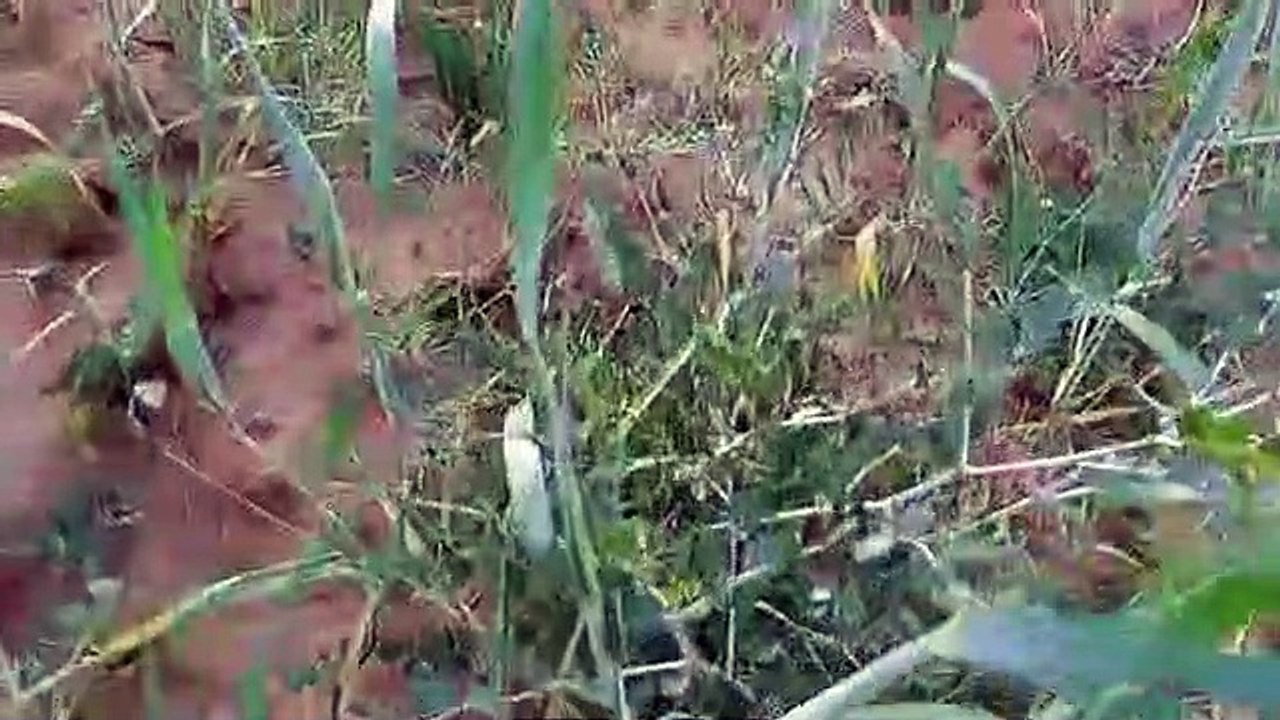 Ait bou Ali tidili massfioua Marrakech Maroc