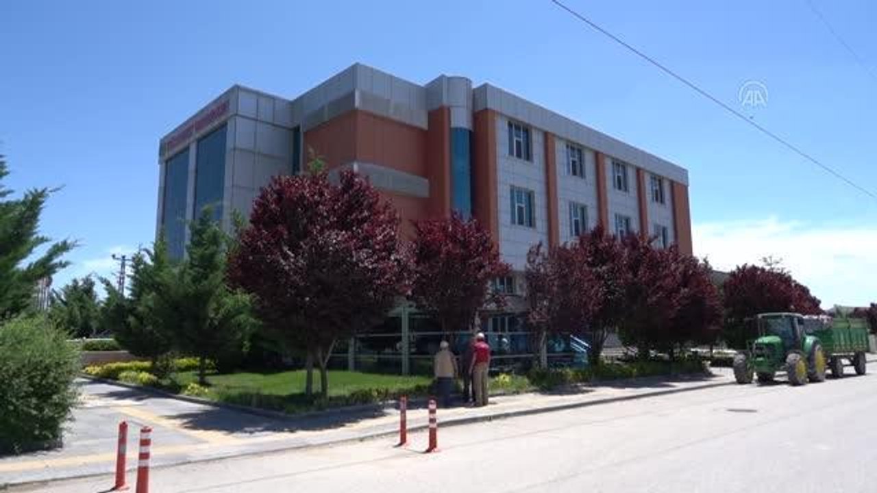 Polatlı'da hasat sezonunun ilk mahsulü buğday satıldı