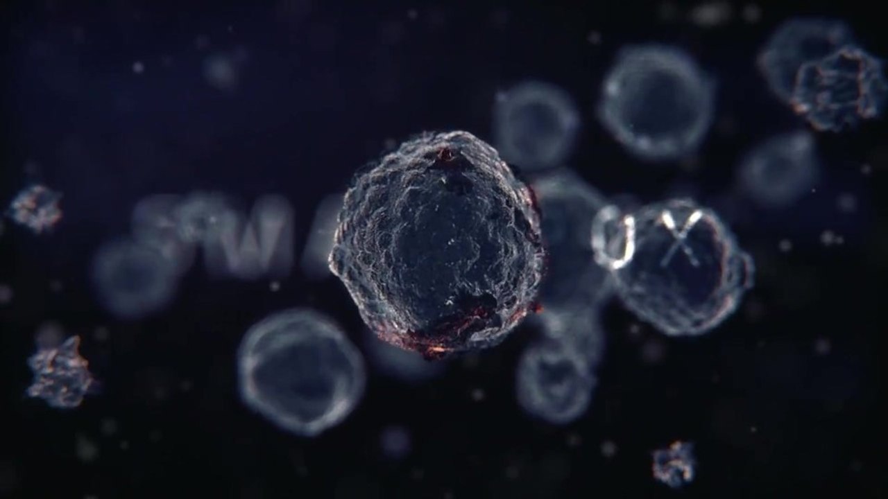 The Division - Trailer zu »Collapse - Die Untergehsimulation«