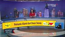 Aksi Bocah SD Gagalkan Penjambretan Ponsel, Pelaku Tabrak Tembok Rumah Warga!