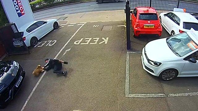 'Loving owner hurts his leg while saving dog from getting hit by a car '