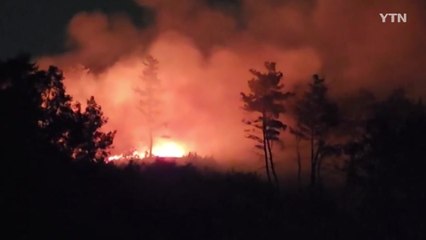 쓰레기 태우다가 불...야산으로 번져 / YTN