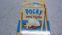 Salty Vanilla Pocky in Japan