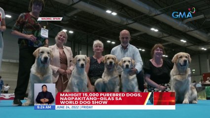 Mahigit 15K purebred dogs, nagpakitang-gilas sa World Dog Show sa Spain | UB