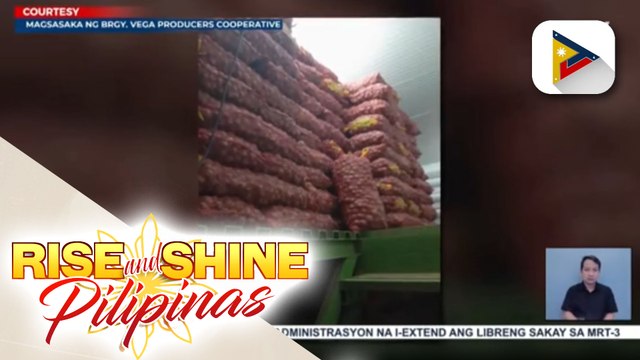 Libu-libong sako ng sibuyas, nakatambak lang sa pasilidad sa Bongabon, Nueva Ecija