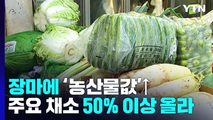 무섭게 뛴 농산물 가격...장마철에 한 번 더 '들썩' / YTN