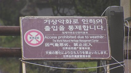 [날씨] 장마전선 남하, 제주도 폭우...내륙 맑은 하늘 회복 / YTN