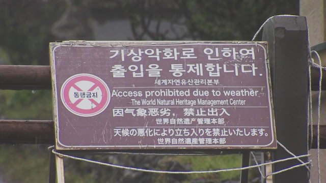 [날씨] 장마전선 남하, 제주도 폭우...내륙 맑은 하늘 회복 / YTN