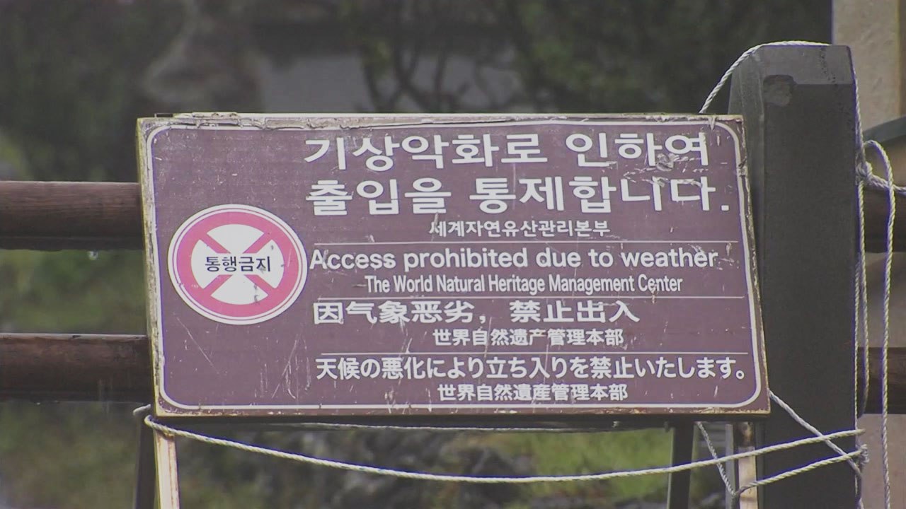 [날씨] 장마전선 남하, 제주도 폭우...내륙 맑은 하늘 회복 / YTN