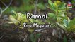 Rina Megasari - Damai (Official Lyric Video)