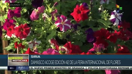 Siria: Feria de Flores es símbolo de renacer turístico y cultural