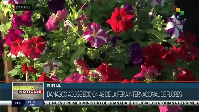 Siria: Feria de Flores es símbolo de renacer turístico y cultural