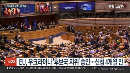 우크라이나 'EU 가입 후보국' 됐다…신청 4개월 만