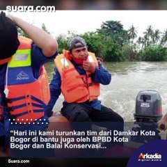 Geger! Buaya Muncul di Sungai Cisadane, Warga Bogor Diminta Waspada