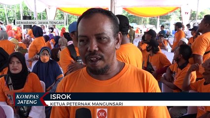 Cegah Penularan PMK, Peternak di Gunung Pati Berlakukan Lockdown
