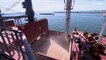 فيديو: ميناء كونستانتا الروماني يصبح مركزا لعبور الحبوب الأوكرانية