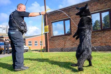 Northamptonshire headlines