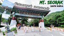 Sokcho _ Largest Mountain in Korea - Tamil Vlog _ Episode 6 _ Arun and Dikshi