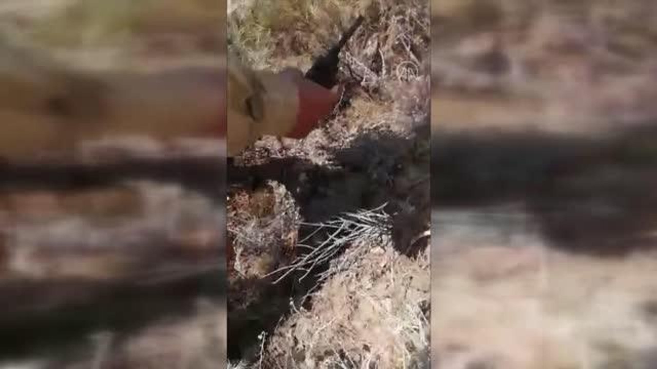 Son dakika haberleri... Marmaris'teki yangında mahsur kalan kaplumbağa ve domuz yavrusunu ormancılar kurtardı