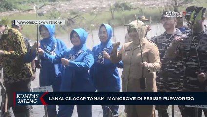 Lanal Cilacap Tanam Magrove di Pesisir Purworejo
