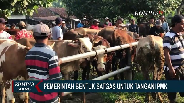 Pemerintah Akan Bentuk Satuan Tugas untuk Tangani Penyakit Mulut dan Kuku pada Ternak!