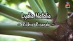 Richie Ricardo - Lydia Natalia (Official Lyric Video)