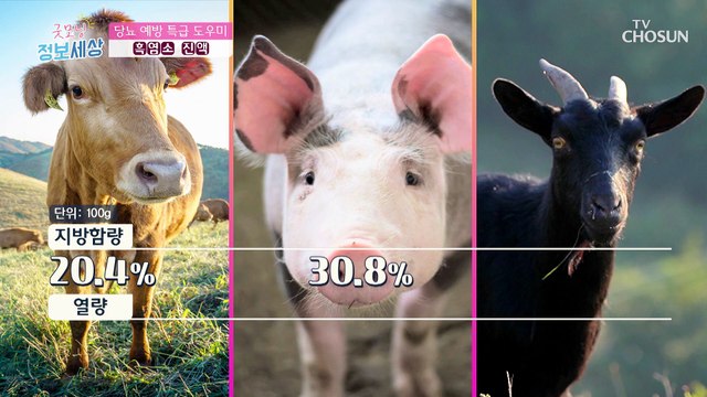 당뇨 잡고 건강 찾는 특급 비법 ✧흑염소 진액✧ TV CHOSUN 220624 방송