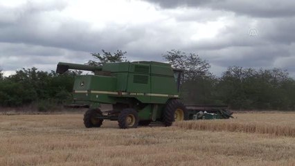 Ukrayna'daki tahıl krizi