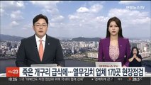 죽은 개구리 급식에…열무김치 업체 170곳 현장점검