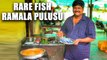 Rare Indian Fish | Ramala Pulusu | Fish Pulusu | Street Byte | Silly Monks