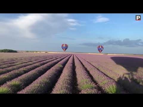 Alpes-de-Haute-Provence : le plateau de Valensole vu du ciel