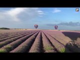 Alpes-de-Haute-Provence : le plateau de Valensole vu du ciel