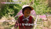 말란 엄마의 금쪽같은 내 새끼_엄마의 봄날 354회 예고 TV CHOSUN 220626 방송