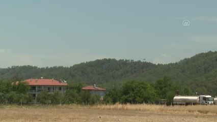 Video herunterladen: Son dakika gündem: Marmaris'teki orman yangınına havadan ve karadan müdahale ediliyor (4)