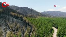 Marmaris’te söndürülen alanlar havadan görüntülendi