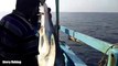 Nelayan India menangkap ikan hiu buat dikonsumsi
